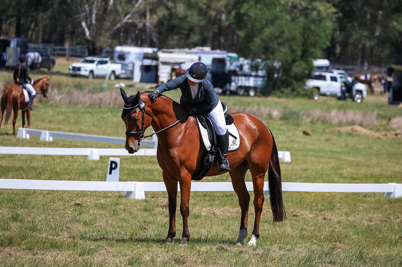 tEG 3DE 2025 Friday Dressage -1709.jpg