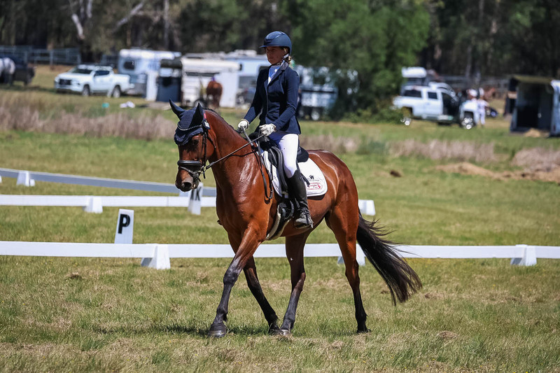 tEG 3DE 2025 Friday Dressage -1710.jpg
