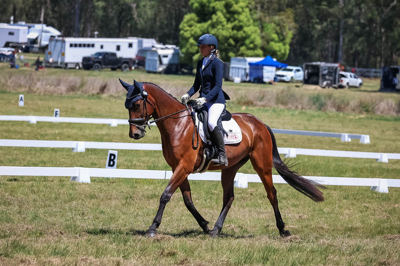 tEG 3DE 2025 Friday Dressage -1711.jpg