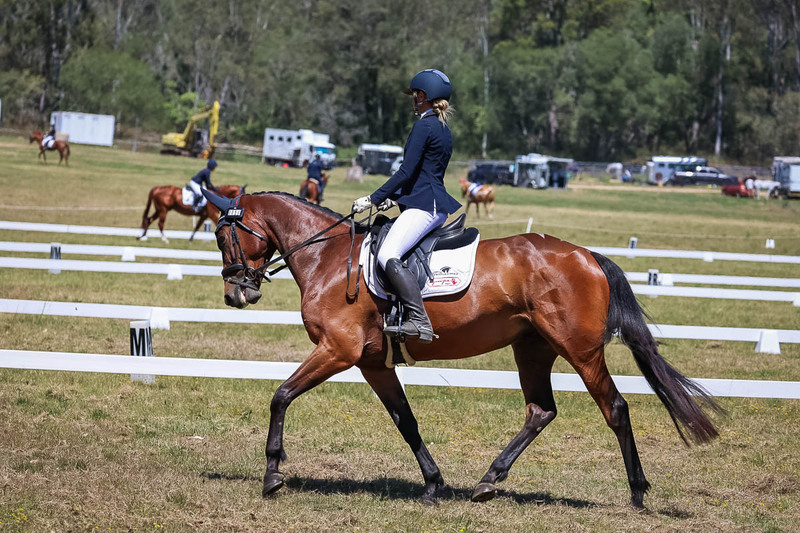 tEG 3DE 2025 Friday Dressage -1713.jpg