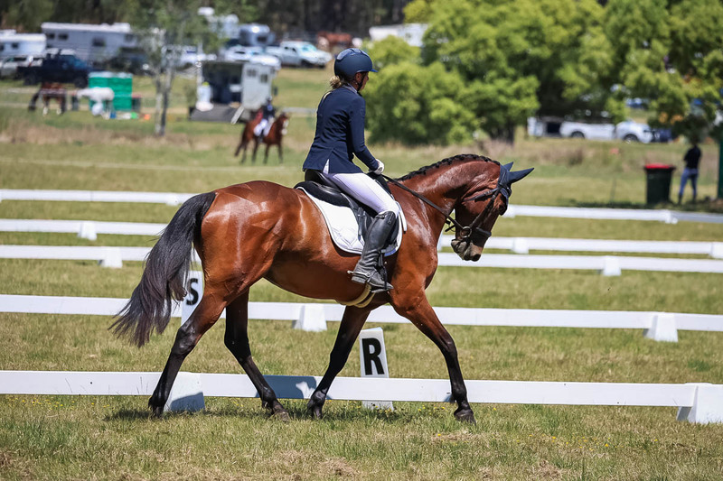 tEG 3DE 2025 Friday Dressage -1714.jpg