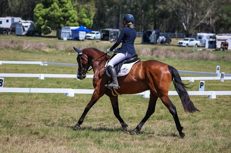 tEG 3DE 2025 Friday Dressage -1715.jpg