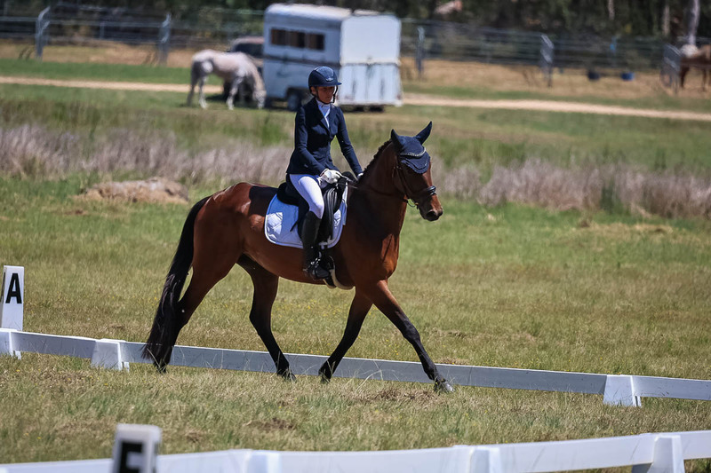 tEG 3DE 2025 Friday Dressage -1716.jpg