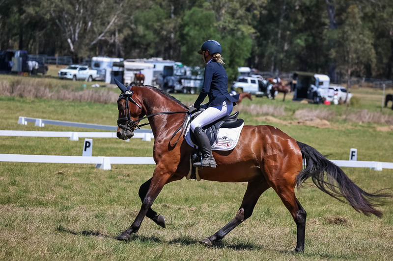 tEG 3DE 2025 Friday Dressage -1717.jpg