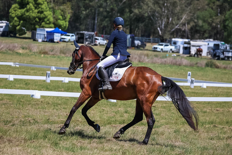 tEG 3DE 2025 Friday Dressage -1718.jpg