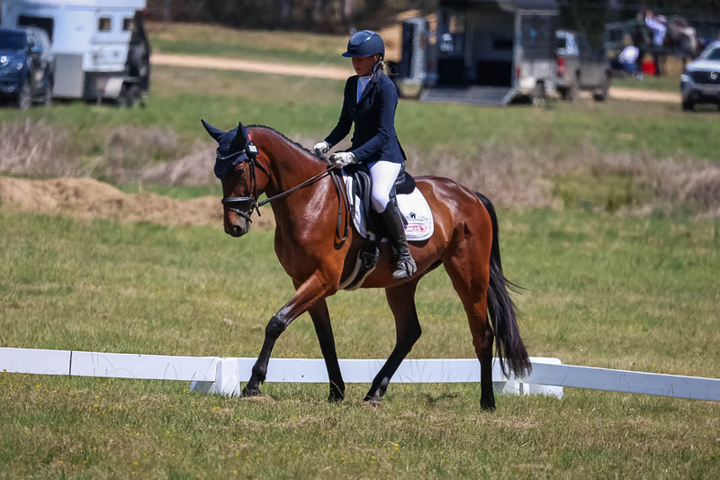 tEG 3DE 2025 Friday Dressage -1723.jpg