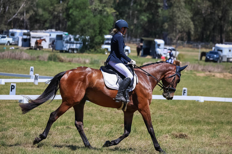 tEG 3DE 2025 Friday Dressage -1725.jpg