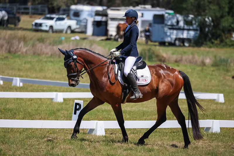 tEG 3DE 2025 Friday Dressage -1726.jpg
