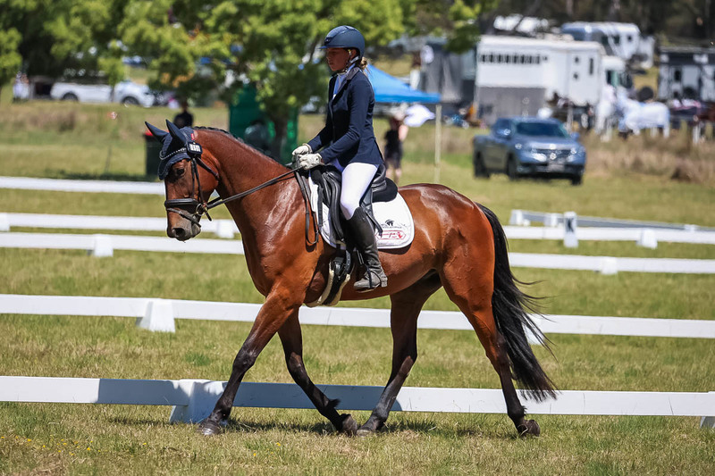 tEG 3DE 2025 Friday Dressage -1728.jpg