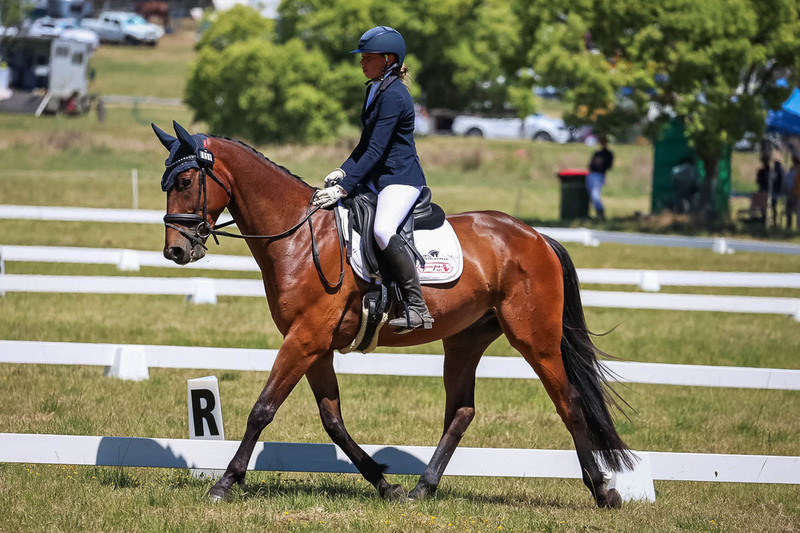 tEG 3DE 2025 Friday Dressage -1729.jpg