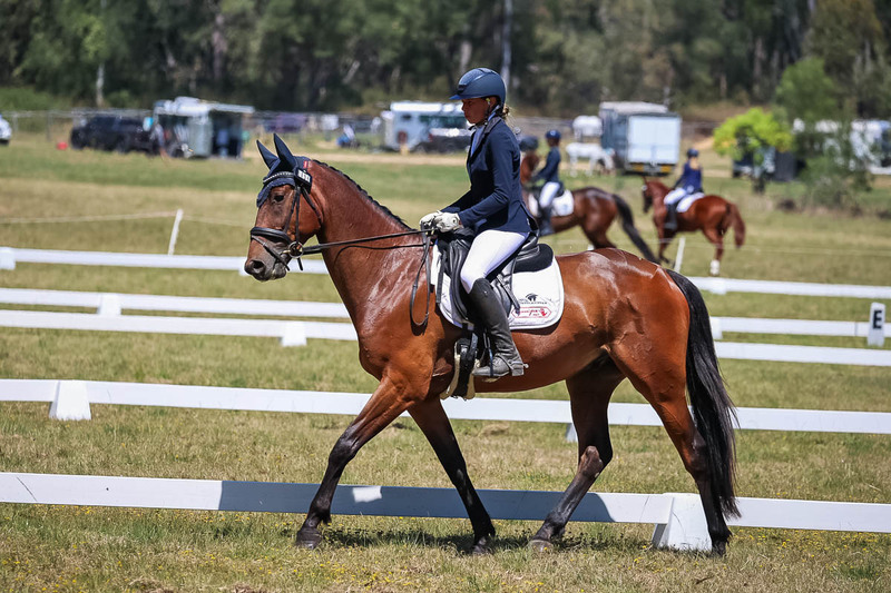 tEG 3DE 2025 Friday Dressage -1730.jpg