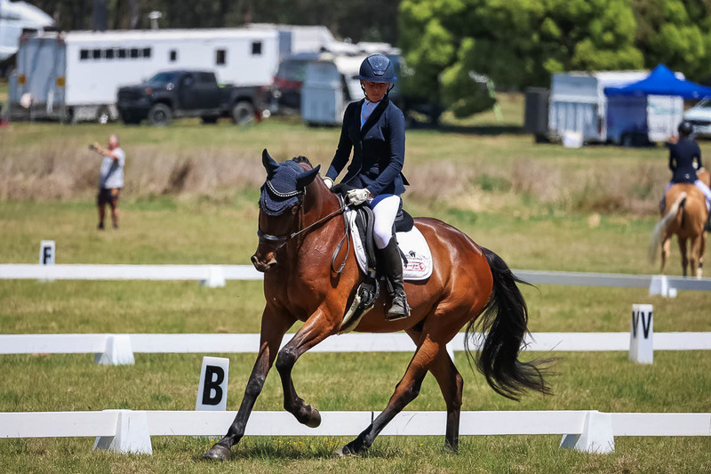 tEG 3DE 2025 Friday Dressage -1733.jpg