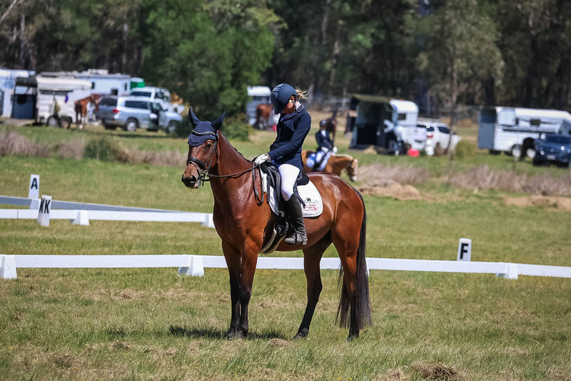 tEG 3DE 2025 Friday Dressage -1734.jpg