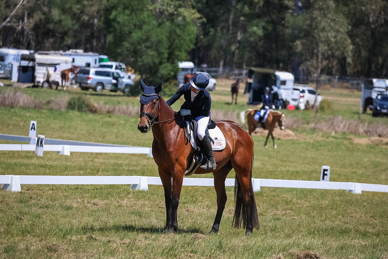 tEG 3DE 2025 Friday Dressage -1735.jpg