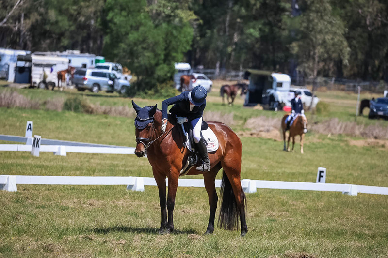 tEG 3DE 2025 Friday Dressage -1737.jpg