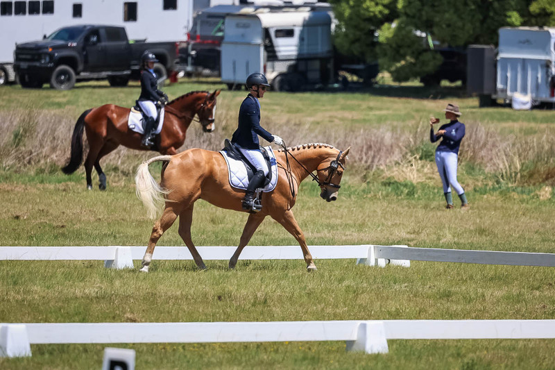 tEG 3DE 2025 Friday Dressage -1740.jpg