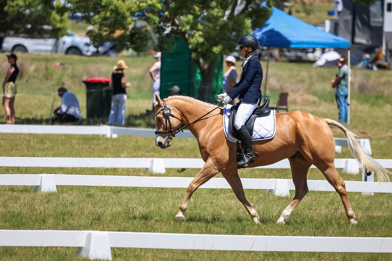 tEG 3DE 2025 Friday Dressage -1742.jpg