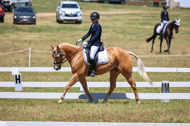 tEG 3DE 2025 Friday Dressage -1744.jpg