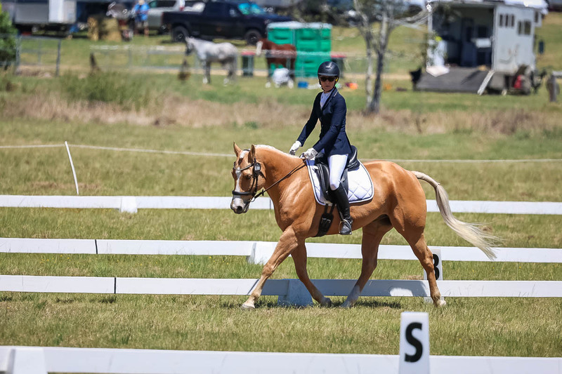 tEG 3DE 2025 Friday Dressage -1748.jpg