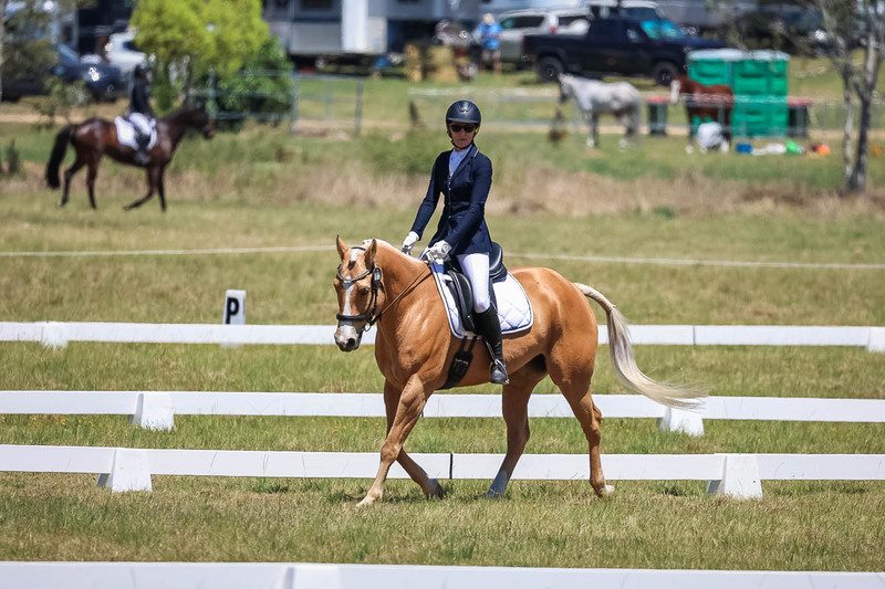 tEG 3DE 2025 Friday Dressage -1749.jpg