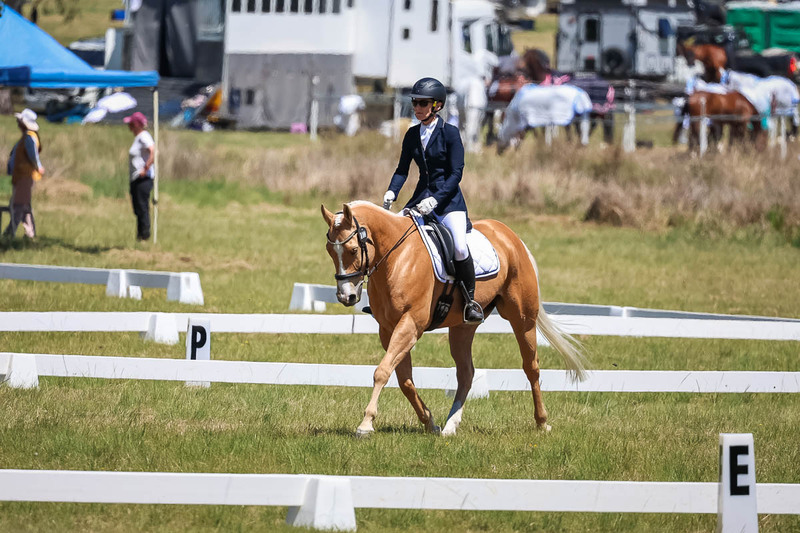 tEG 3DE 2025 Friday Dressage -1751.jpg