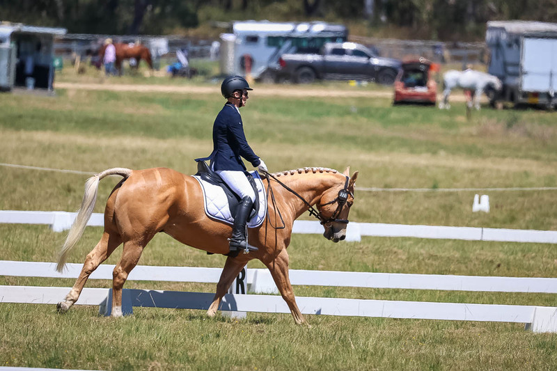 tEG 3DE 2025 Friday Dressage -1752.jpg