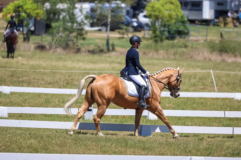 tEG 3DE 2025 Friday Dressage -1754.jpg