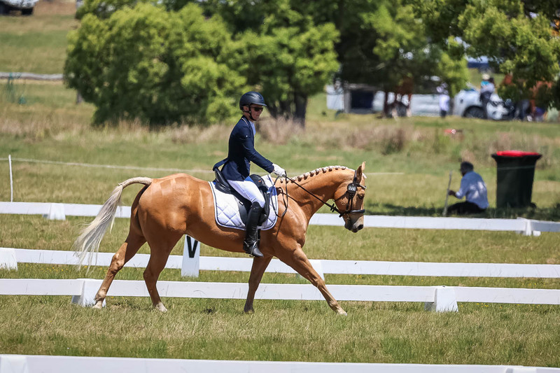 tEG 3DE 2025 Friday Dressage -1756.jpg