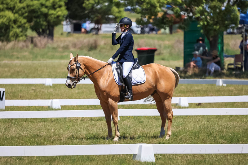 tEG 3DE 2025 Friday Dressage -1758.jpg