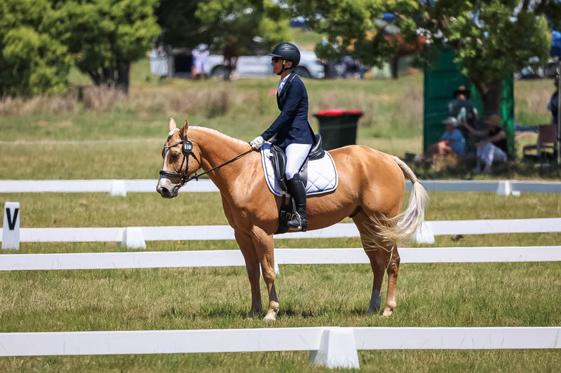tEG 3DE 2025 Friday Dressage -1759.jpg