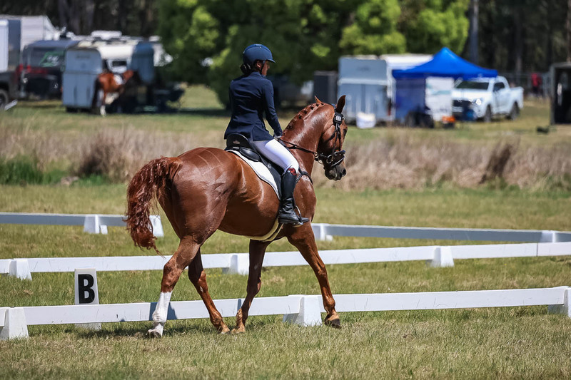 tEG 3DE 2025 Friday Dressage -1763.jpg