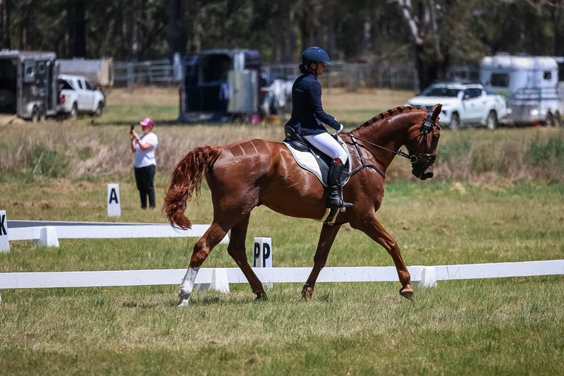 tEG 3DE 2025 Friday Dressage -1765.jpg