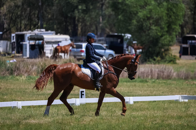tEG 3DE 2025 Friday Dressage -1766.jpg