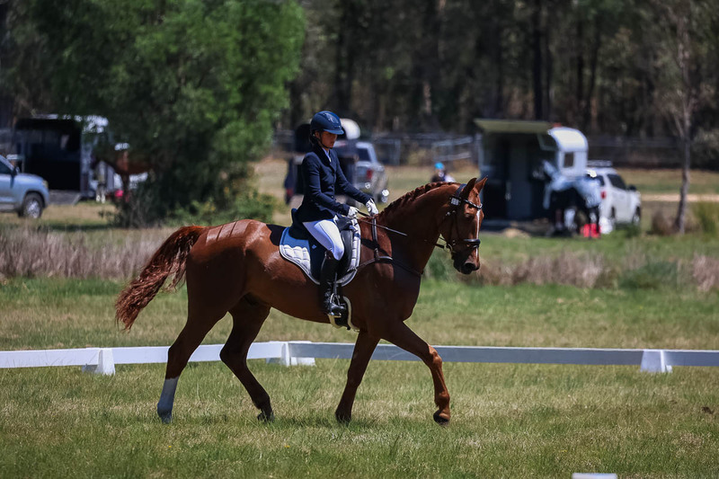 tEG 3DE 2025 Friday Dressage -1767.jpg