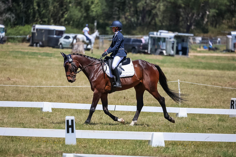 tEG 3DE 2025 Friday Dressage -1768.jpg