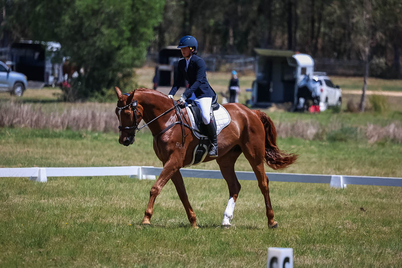 tEG 3DE 2025 Friday Dressage -1769.jpg