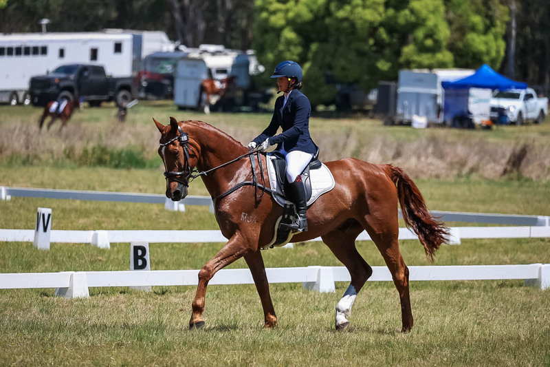 tEG 3DE 2025 Friday Dressage -1771.jpg