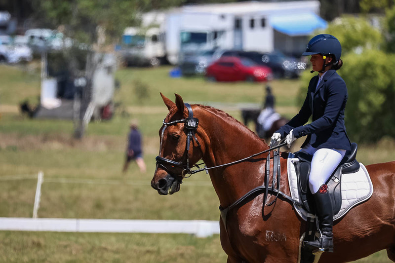 tEG 3DE 2025 Friday Dressage -1772.jpg