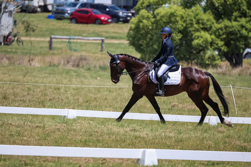 tEG 3DE 2025 Friday Dressage -1773.jpg
