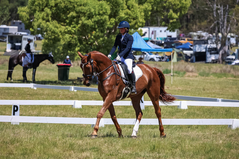 tEG 3DE 2025 Friday Dressage -1777.jpg