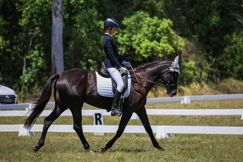 tEG 3DE 2025 Friday Dressage -1778.jpg