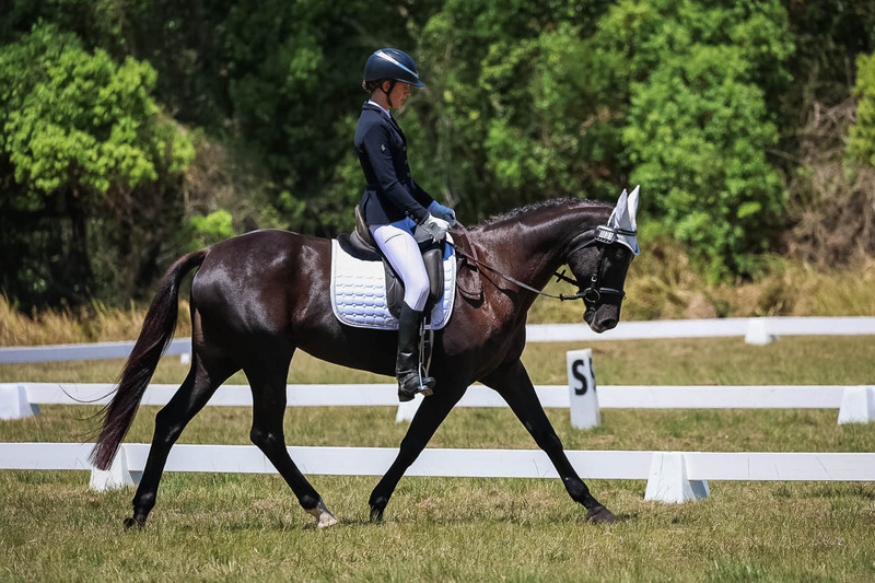 tEG 3DE 2025 Friday Dressage -1779.jpg