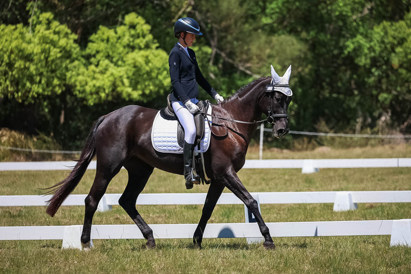 tEG 3DE 2025 Friday Dressage -1780.jpg