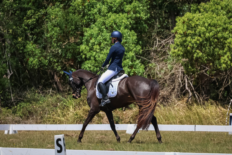 tEG 3DE 2025 Friday Dressage -1782.jpg
