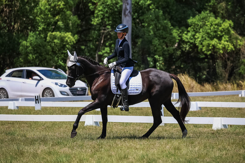 tEG 3DE 2025 Friday Dressage -1783.jpg