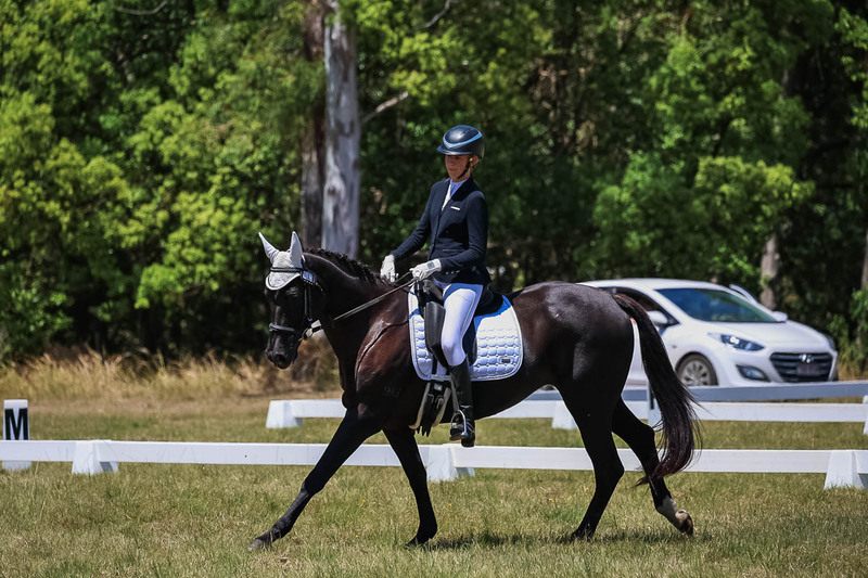 tEG 3DE 2025 Friday Dressage -1784.jpg