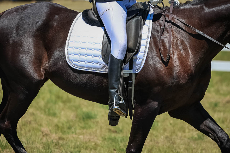 tEG 3DE 2025 Friday Dressage -1786.jpg