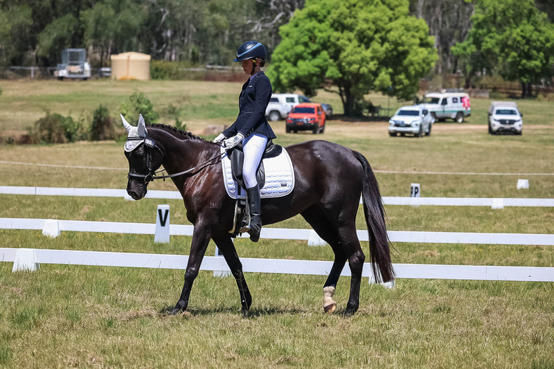 tEG 3DE 2025 Friday Dressage -1787.jpg