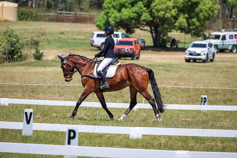 tEG 3DE 2025 Friday Dressage -1789.jpg