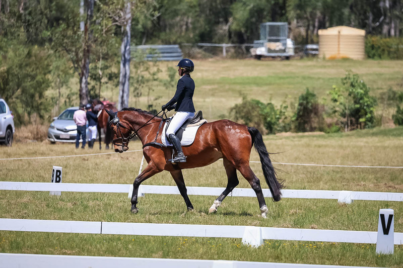 tEG 3DE 2025 Friday Dressage -1790.jpg